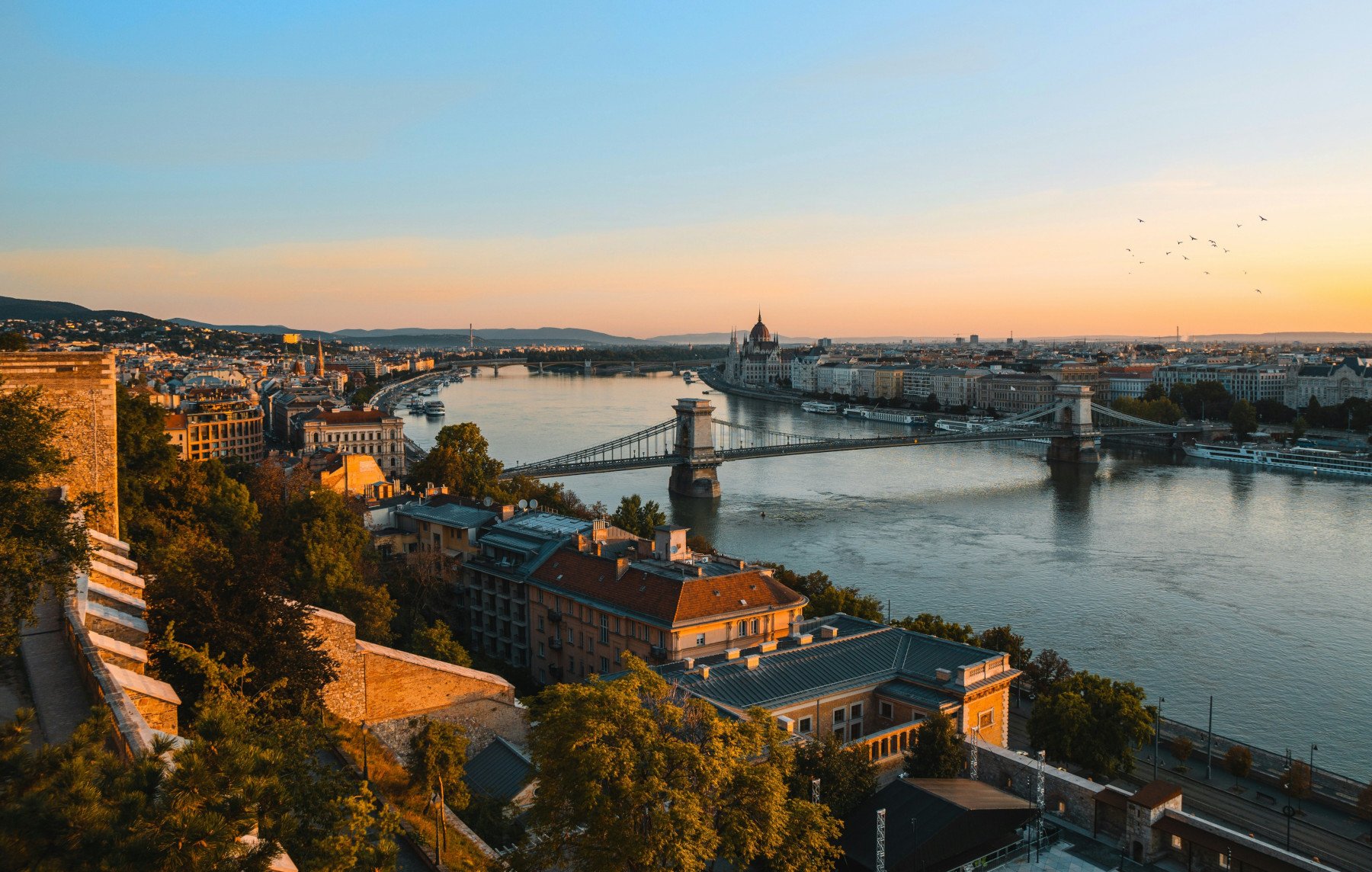 Darwin chosen for TRA Budapest Innovate UK cohort
